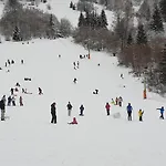 Les Noisetiers * Rochesson