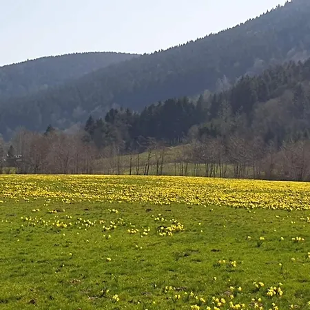 Les Noisetiers Chalet