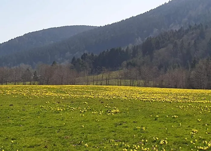 Les Noisetiers Alpesi faház